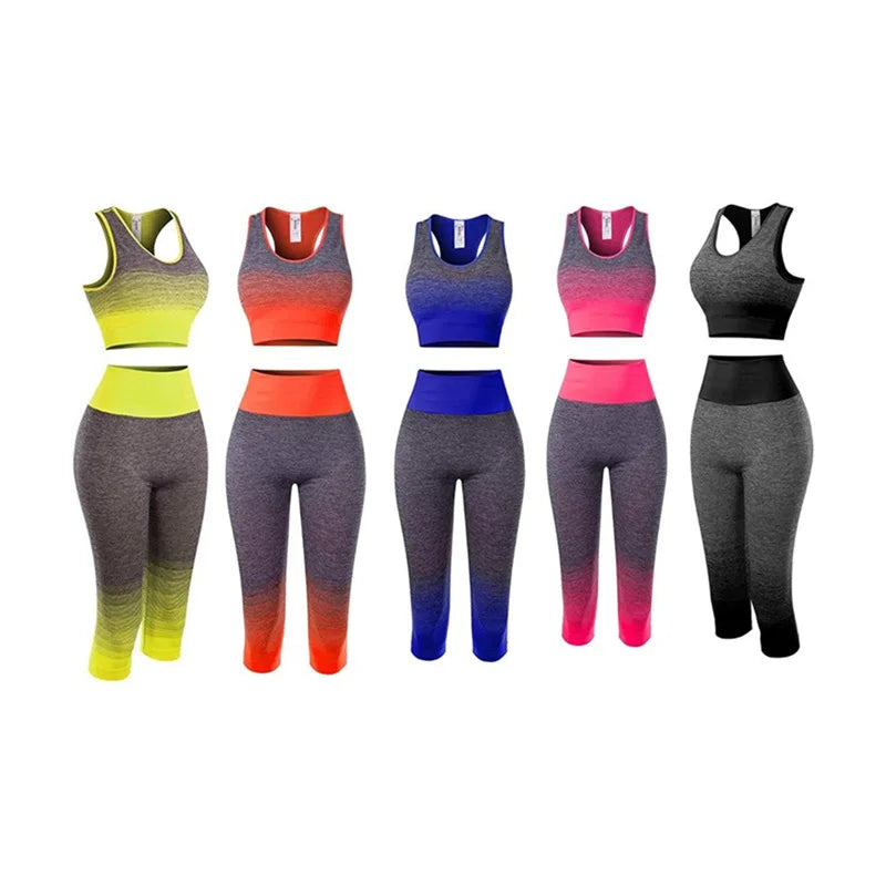 Women's Super Elastic Seamless - Roller