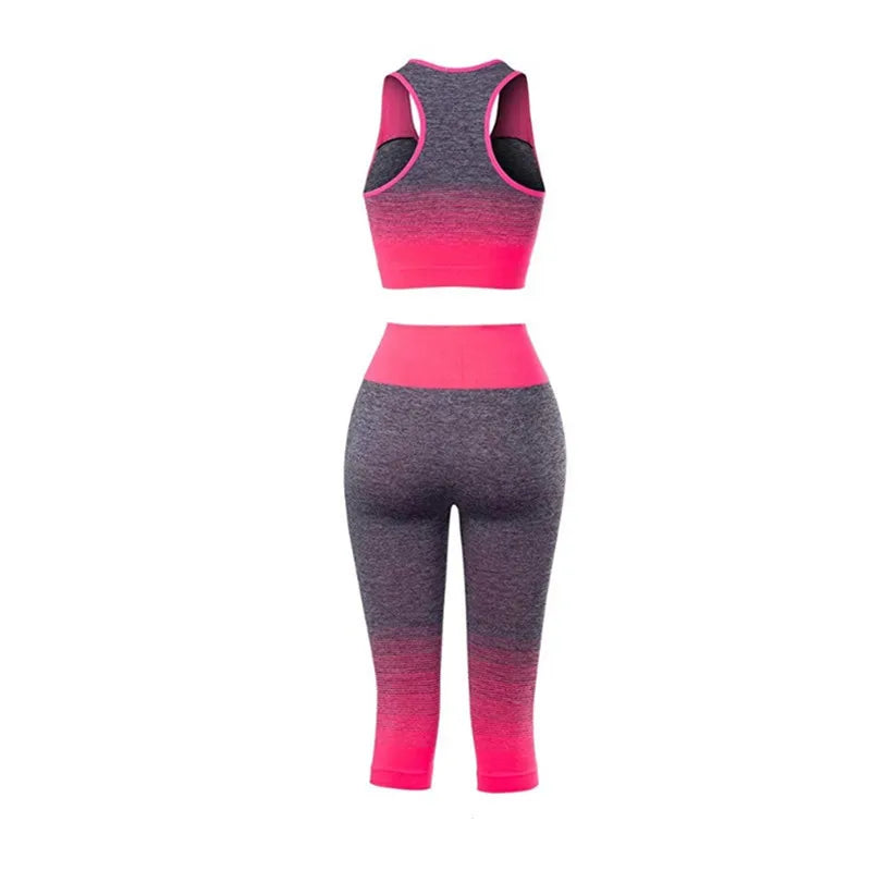 Women's Super Elastic Seamless - Roller