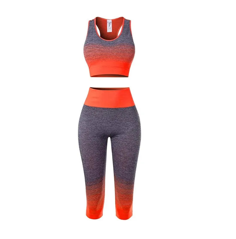 Women's Super Elastic Seamless - Roller