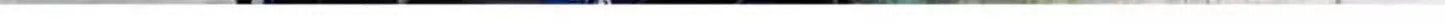 Adjustable Inline Roller Skate Shoes Professional Flashing Sliding Sneaker Outdoor Racing Speed Skating 4 Wheels Shoes Gifts - Roller