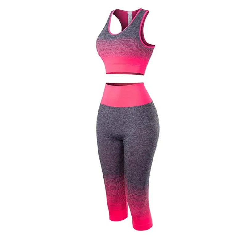 Women's Super Elastic Seamless - Roller