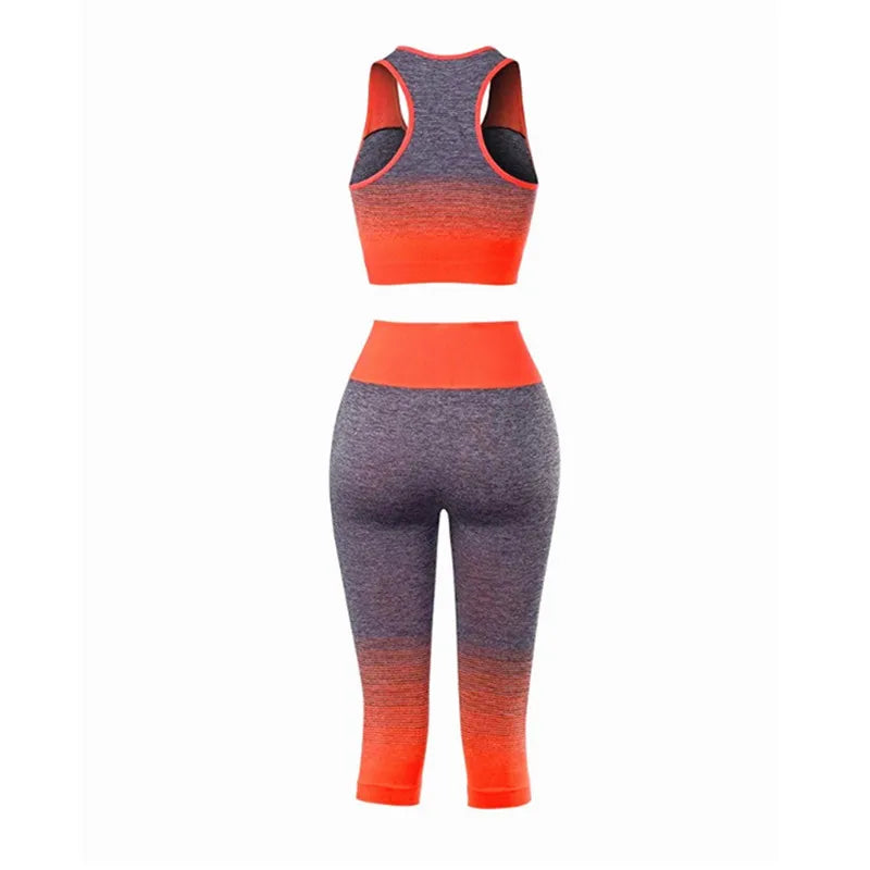 Women's Super Elastic Seamless - Roller