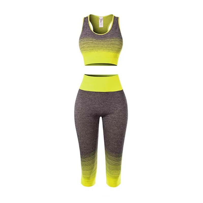 Women's Super Elastic Seamless - Roller