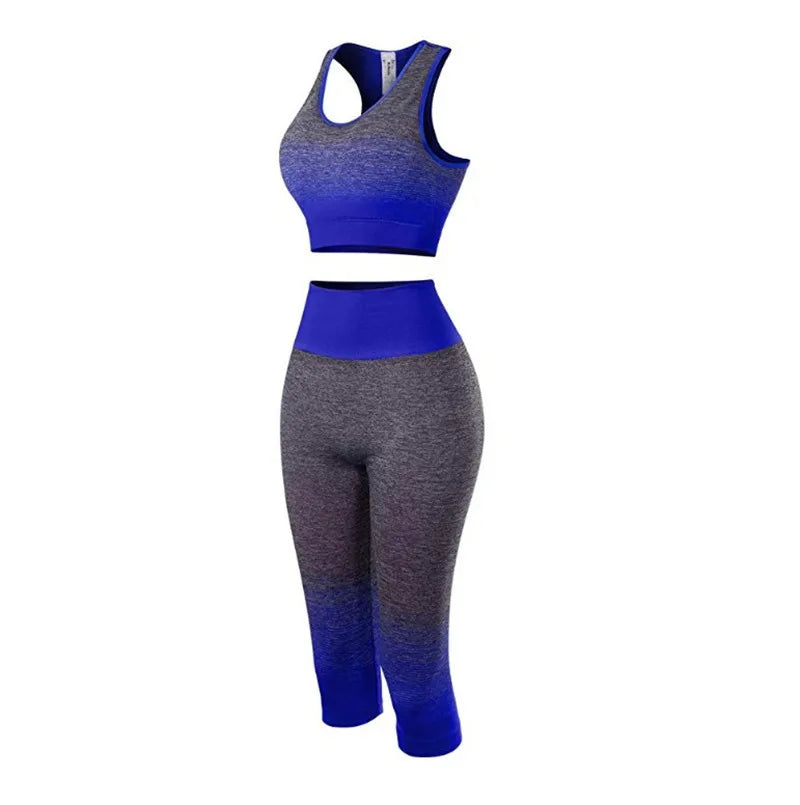 Women's Super Elastic Seamless - Roller