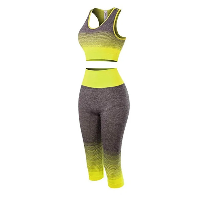 Women's Super Elastic Seamless - Roller