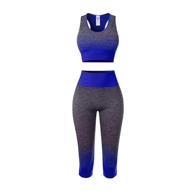 Women's Super Elastic Seamless - Roller
