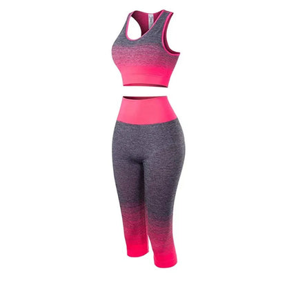 Women's Super Elastic Seamless - Roller