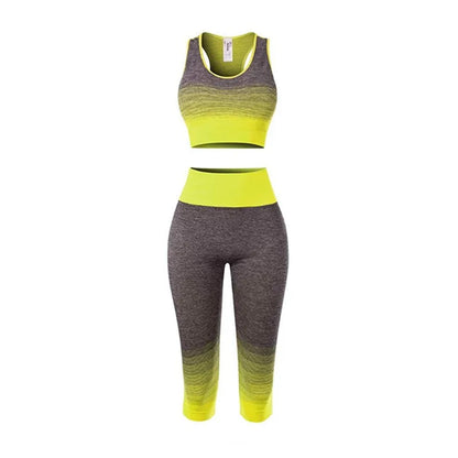 Women's Super Elastic Seamless - Roller