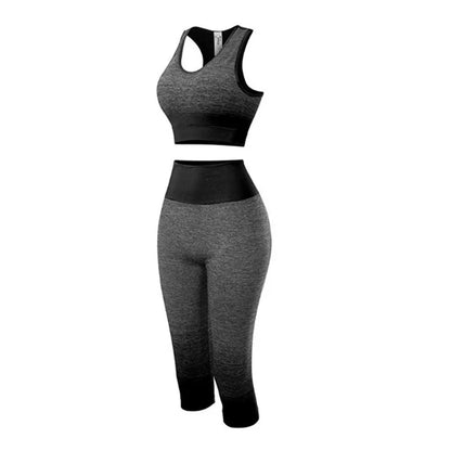 Women's Super Elastic Seamless - Roller
