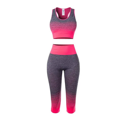 Women's Super Elastic Seamless - Roller